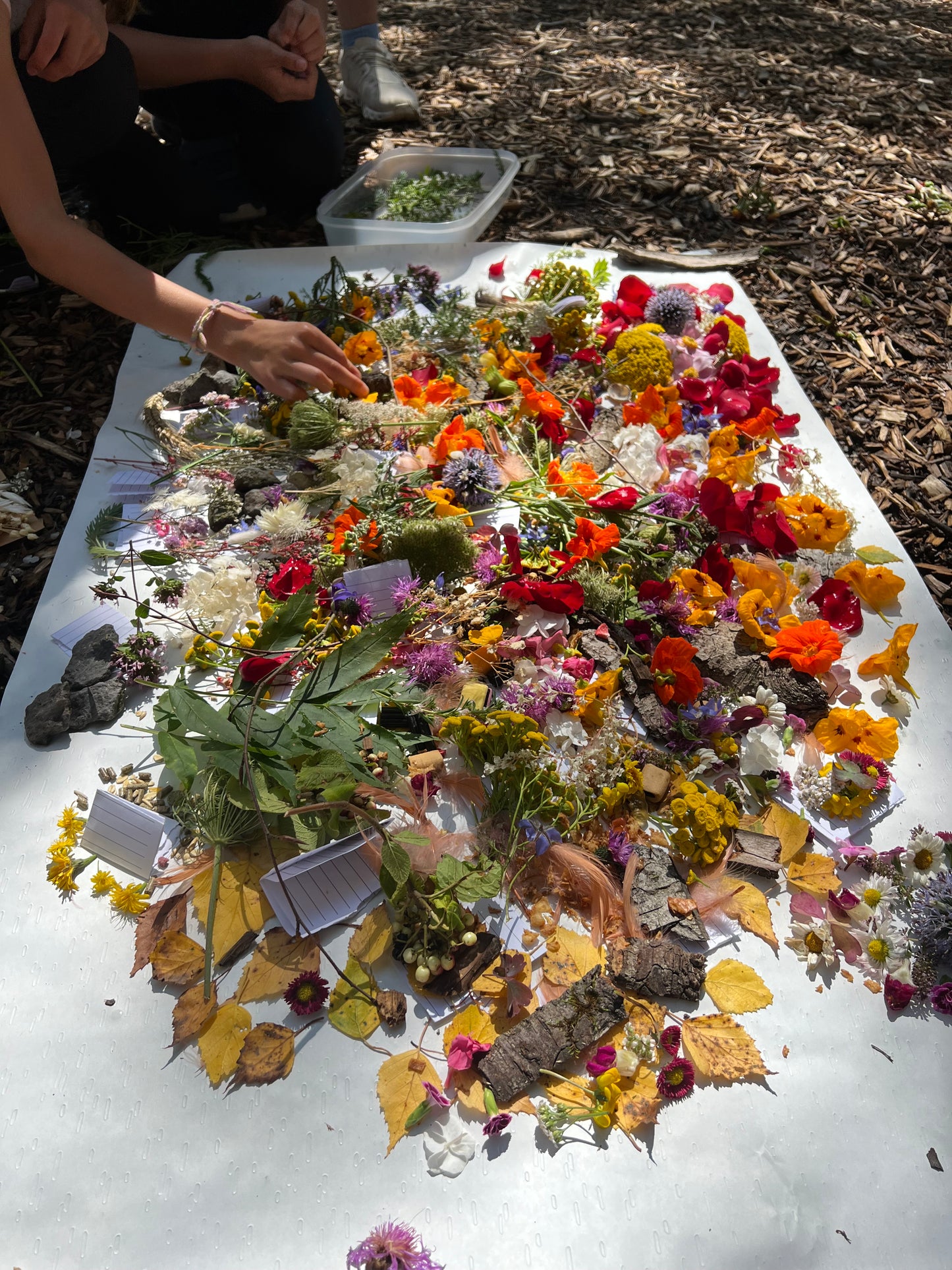 Yoga inmitten der Natur