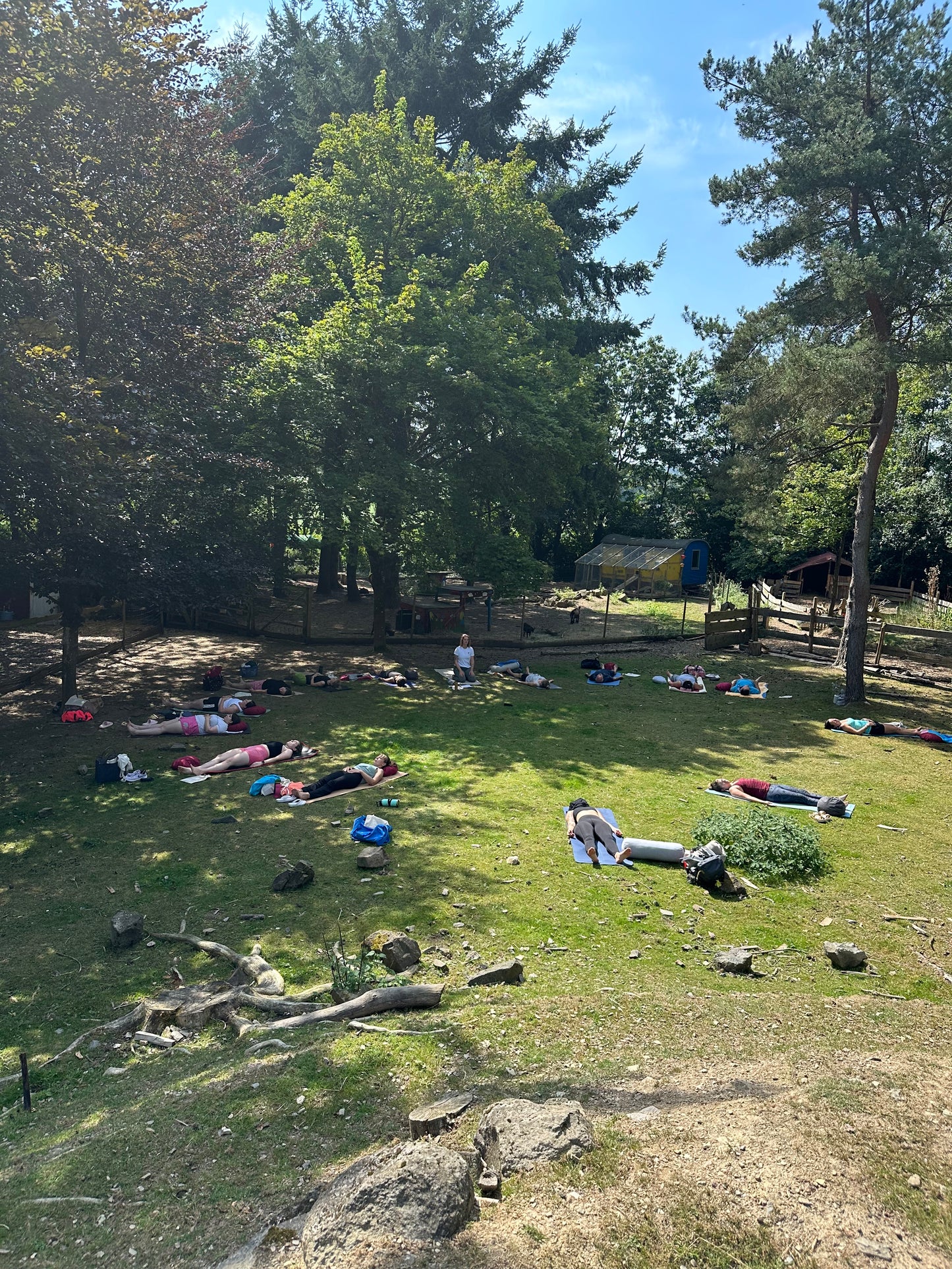 Yoga inmitten der Natur