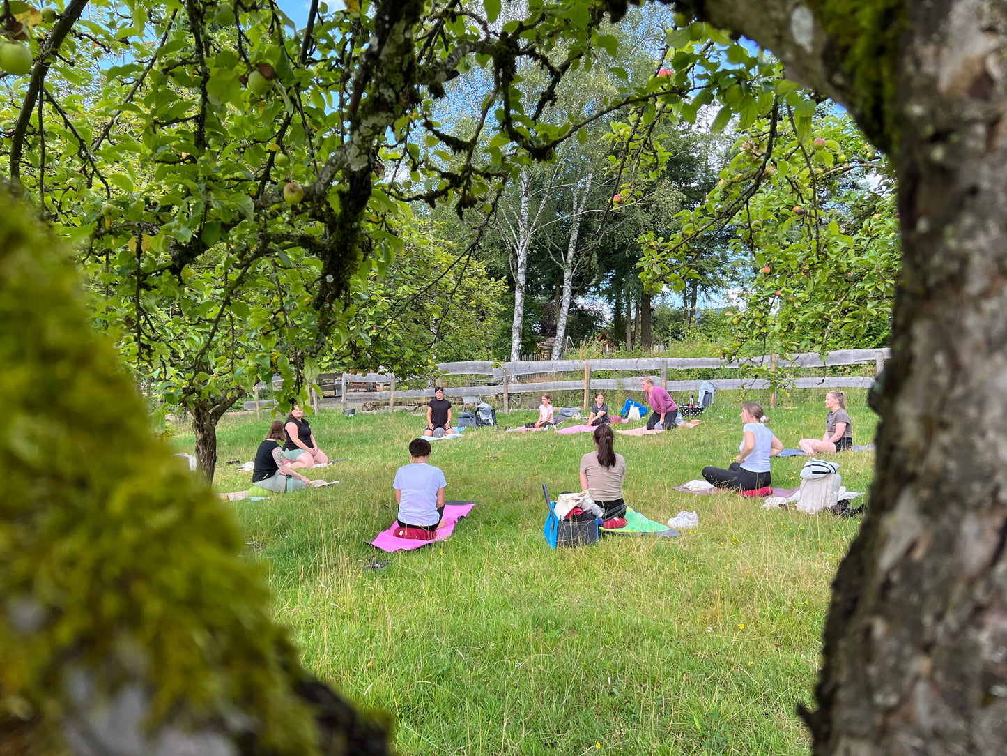 Yoga inmitten der Natur