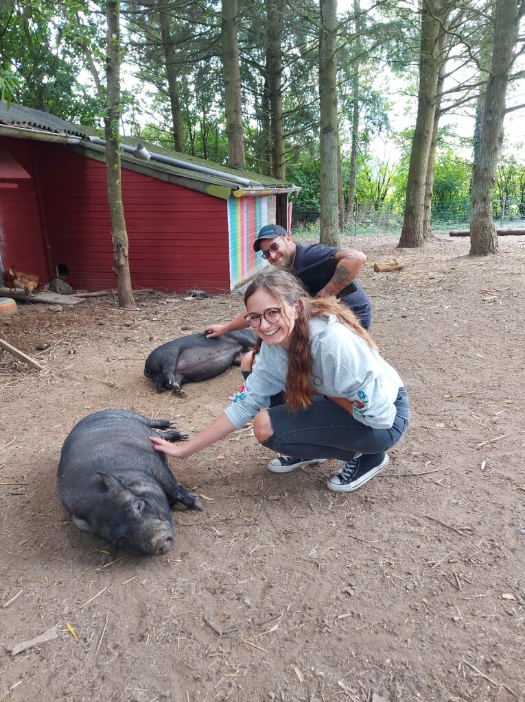 Tierpatenschaft Schweine